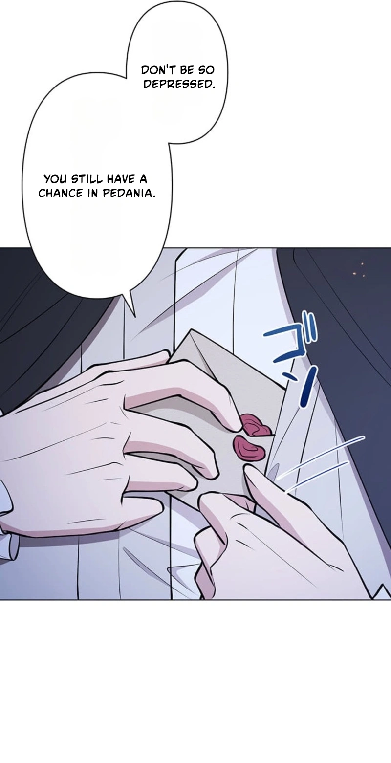 The Enemy King’s Substitute Bride Chapter 46 page 63