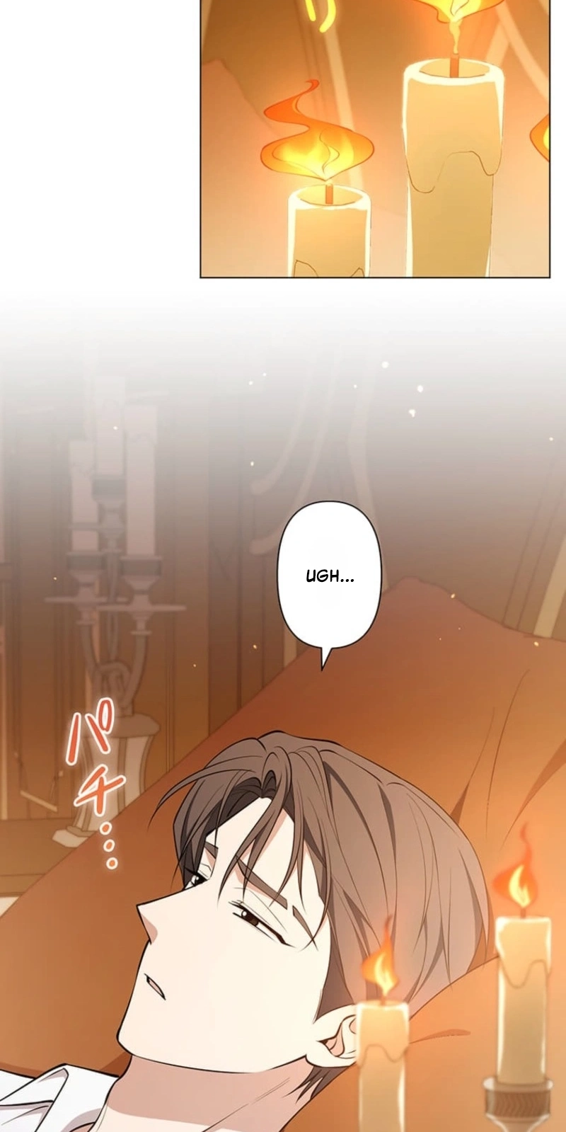 The Enemy King’s Substitute Bride Chapter 46 page 76