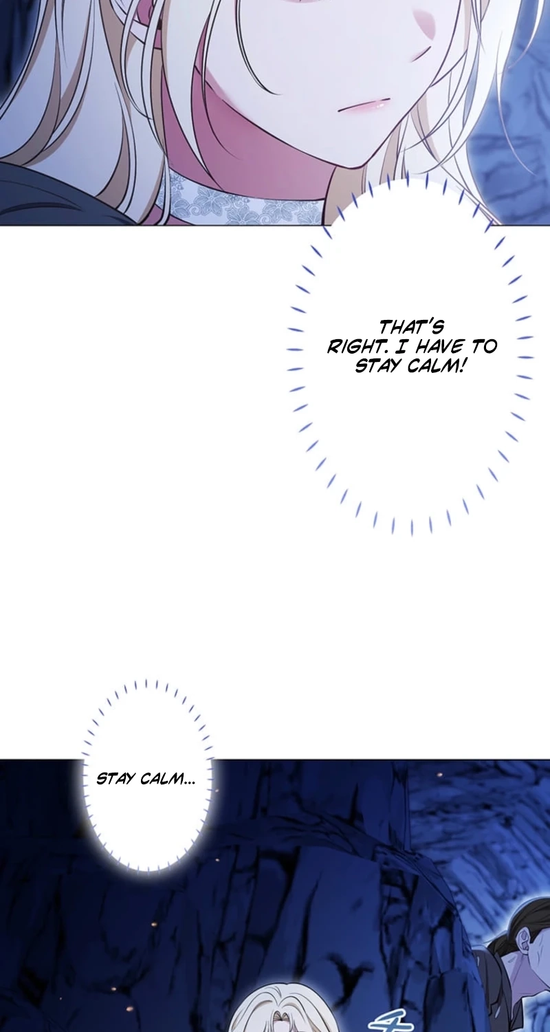 The Enemy King’s Substitute Bride Chapter 47 page 88