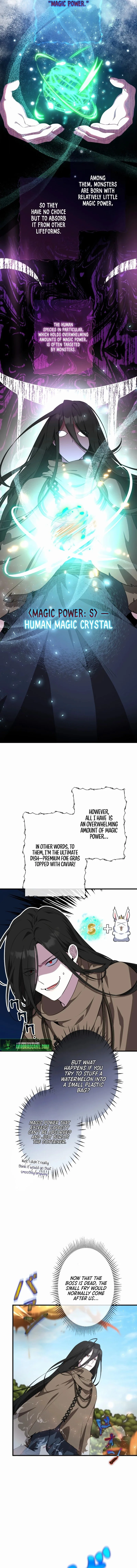 The Fake Master Who Accidentally Became the Strongest Chapter 5 page 6