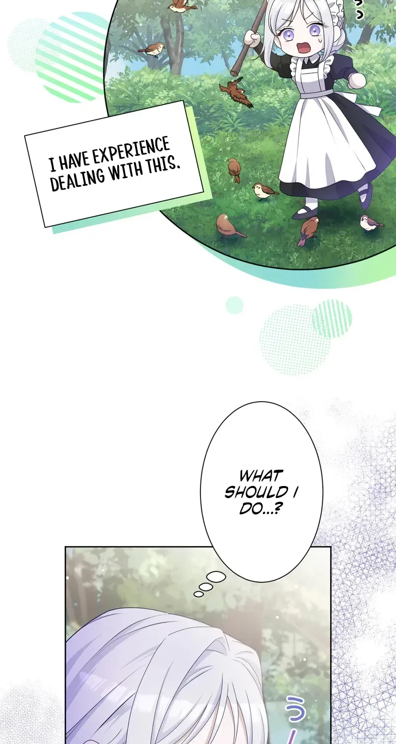 The Forsaken Saint Became the Crown Prince's Beloved Wife Chapter 3 page 40