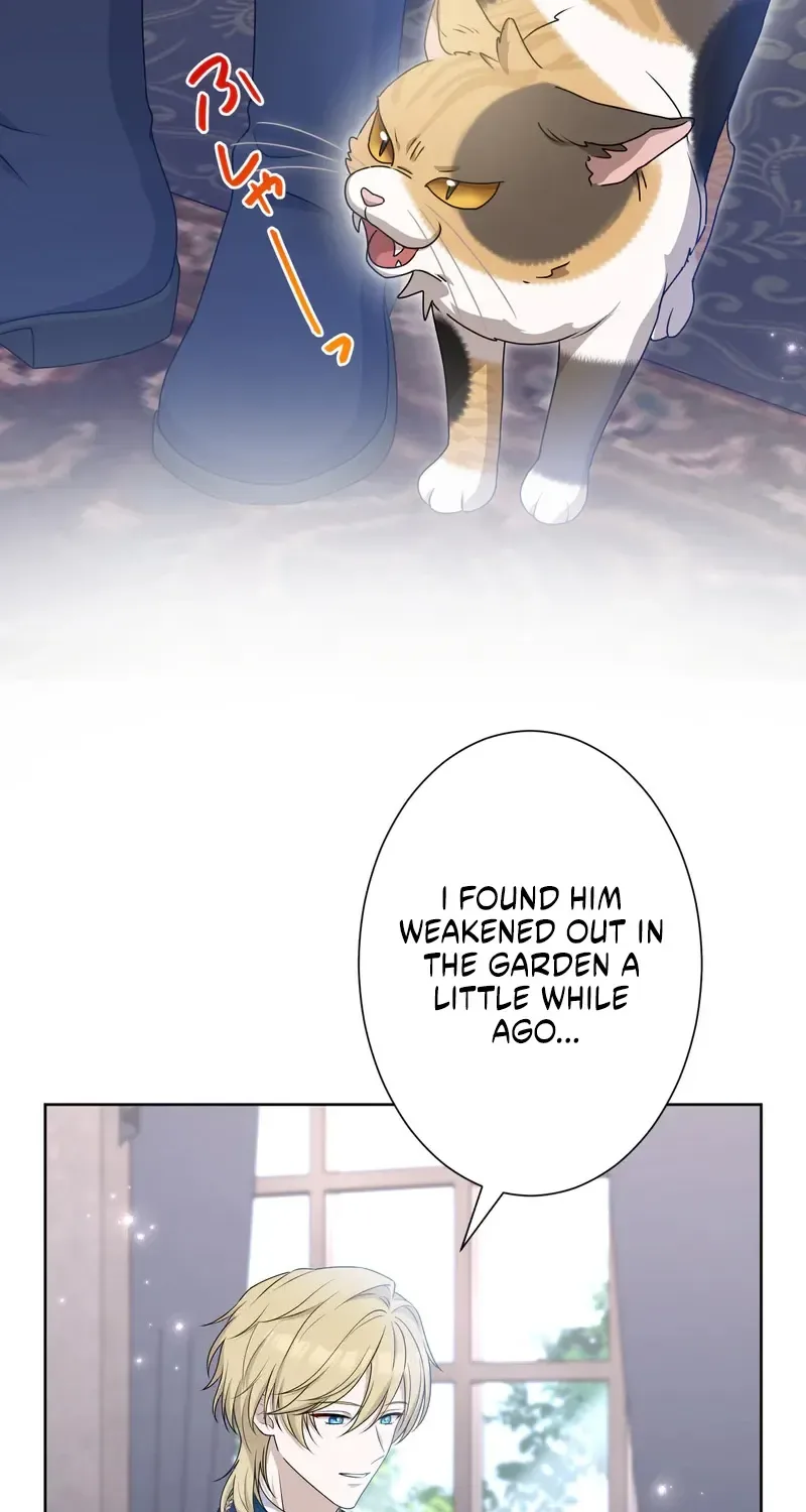 The Forsaken Saint Became the Crown Prince's Beloved Wife Chapter 3 page 88