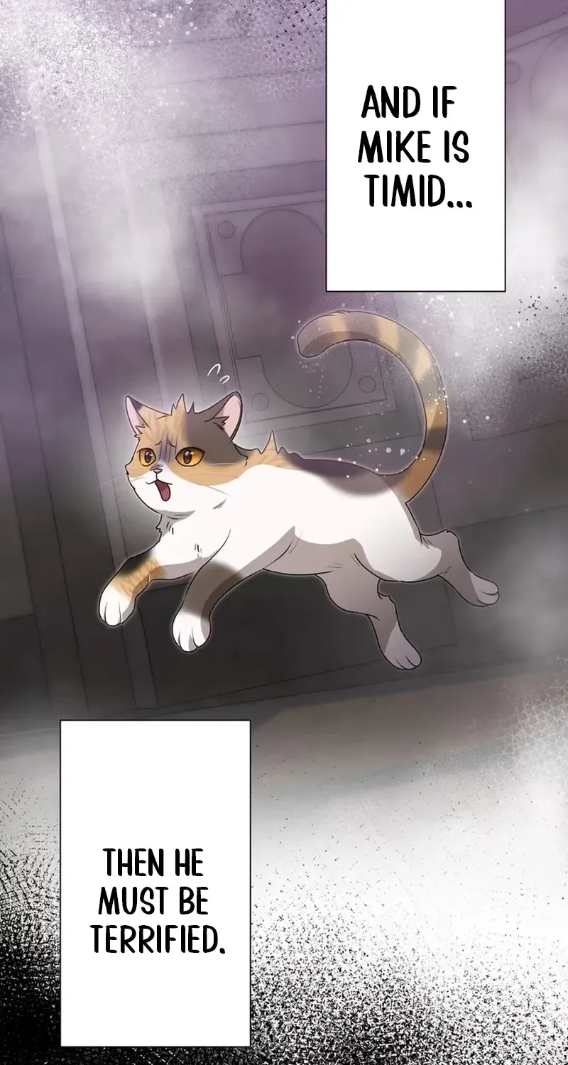 The Forsaken Saint Became the Crown Prince's Beloved Wife Chapter 4 page 47