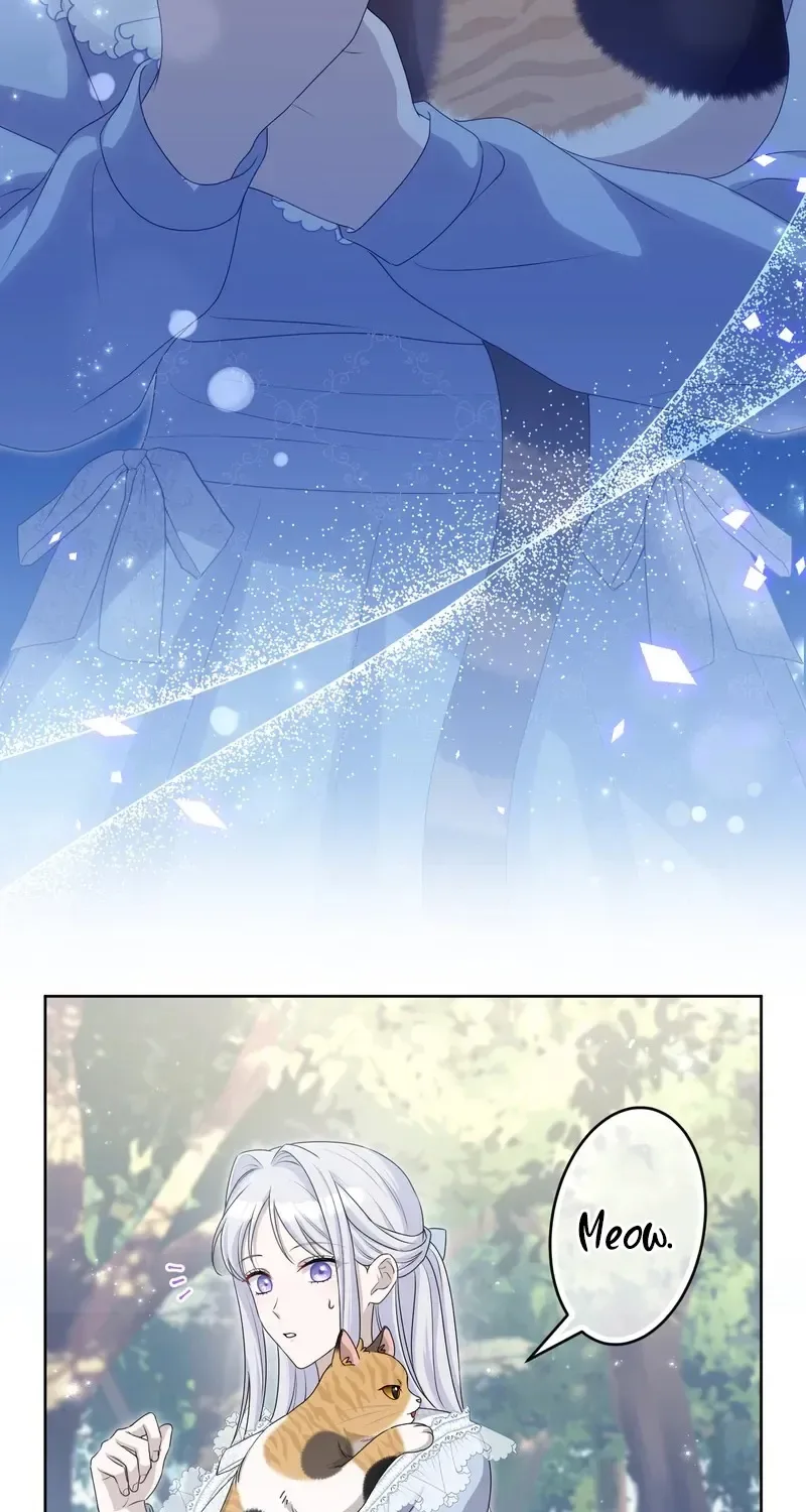 The Forsaken Saint Became the Crown Prince's Beloved Wife Chapter 5 page 3