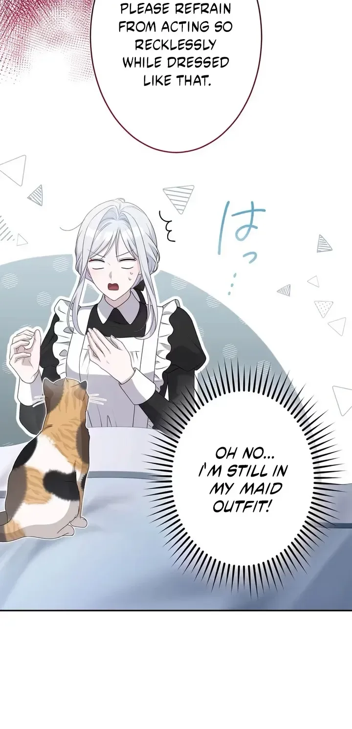The Forsaken Saint Became the Crown Prince's Beloved Wife Chapter 9 page 17