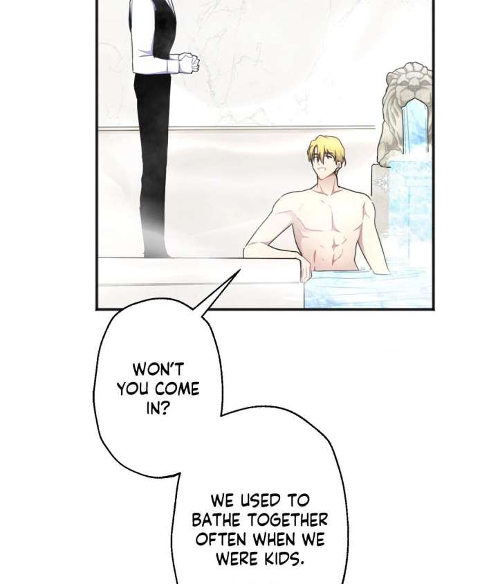 The Gilded Cage Chapter 38 page 71