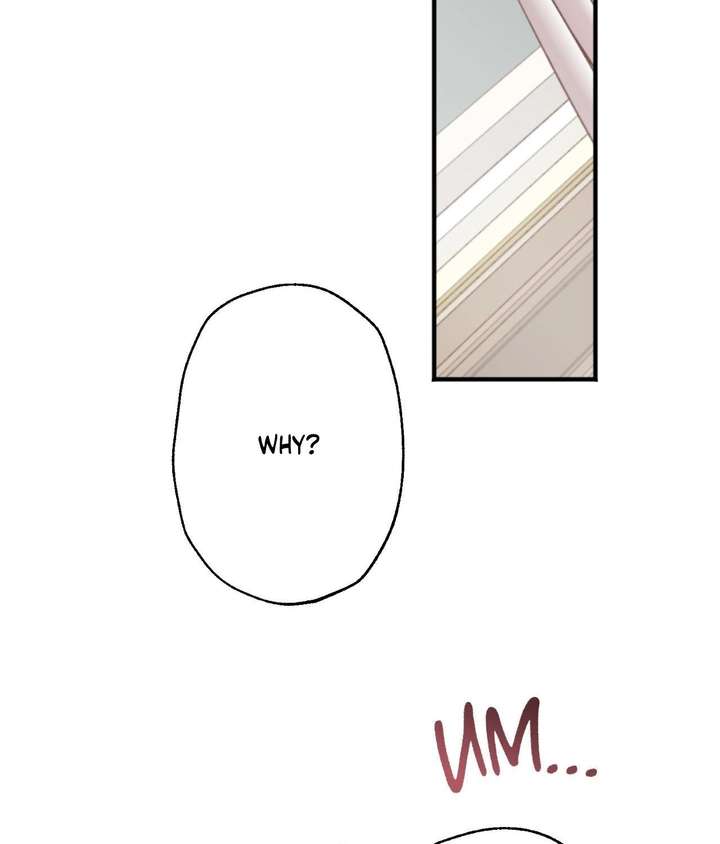 The Gilded Cage Chapter 56 page 66