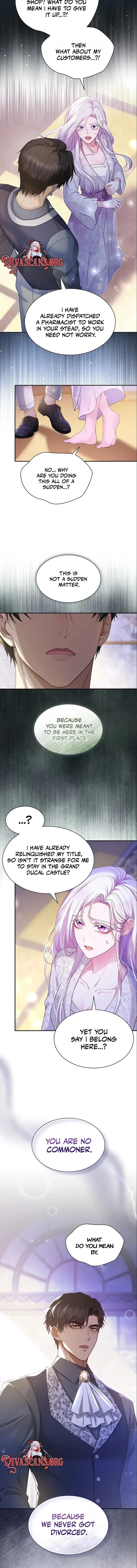 The Grand Duchess Disappeared on a Silent Night Chapter 20 page 5