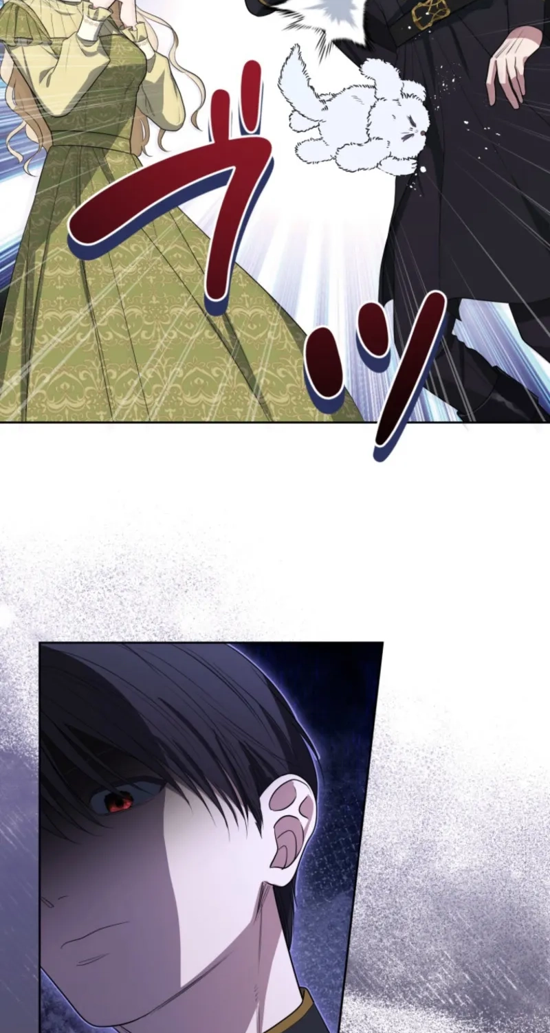 The Grim Reaper Duke’s Obsessive Contract Mother Chapter 73 page 42