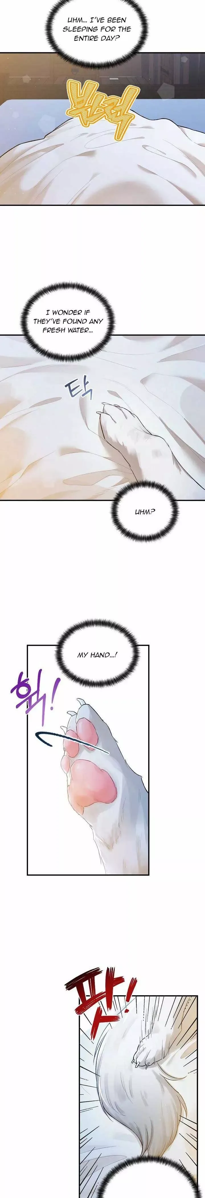 The Heroine Wants Me As Her Sister-in-Law Chapter 19 page 19