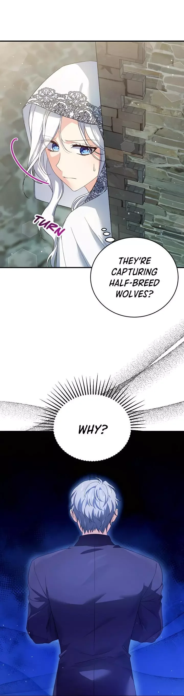The Heroine Wants Me As Her Sister-in-Law Chapter 31 page 3