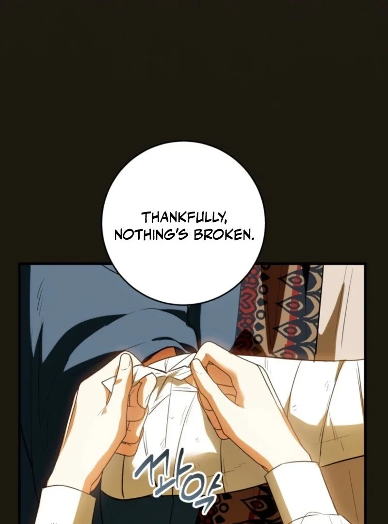 The Heroine Wants Me As Her Sister-in-Law Chapter 85 page 61