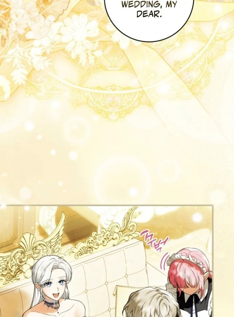 The Heroine Wants Me As Her Sister-in-Law Chapter 87 page 17