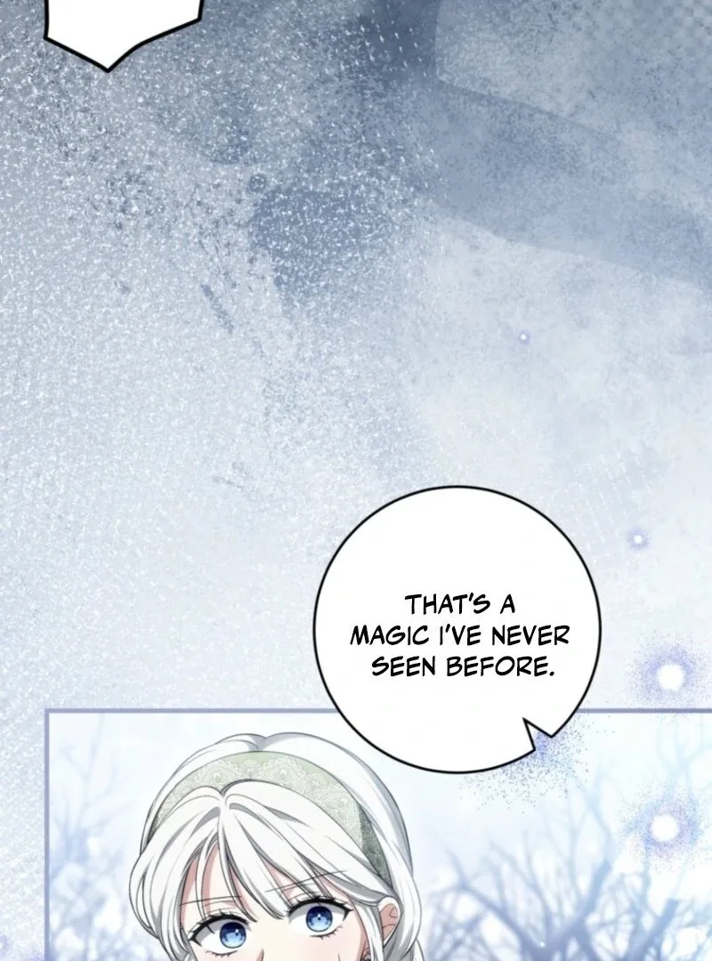The Heroine Wants Me As Her Sister-in-Law Chapter 92 page 73
