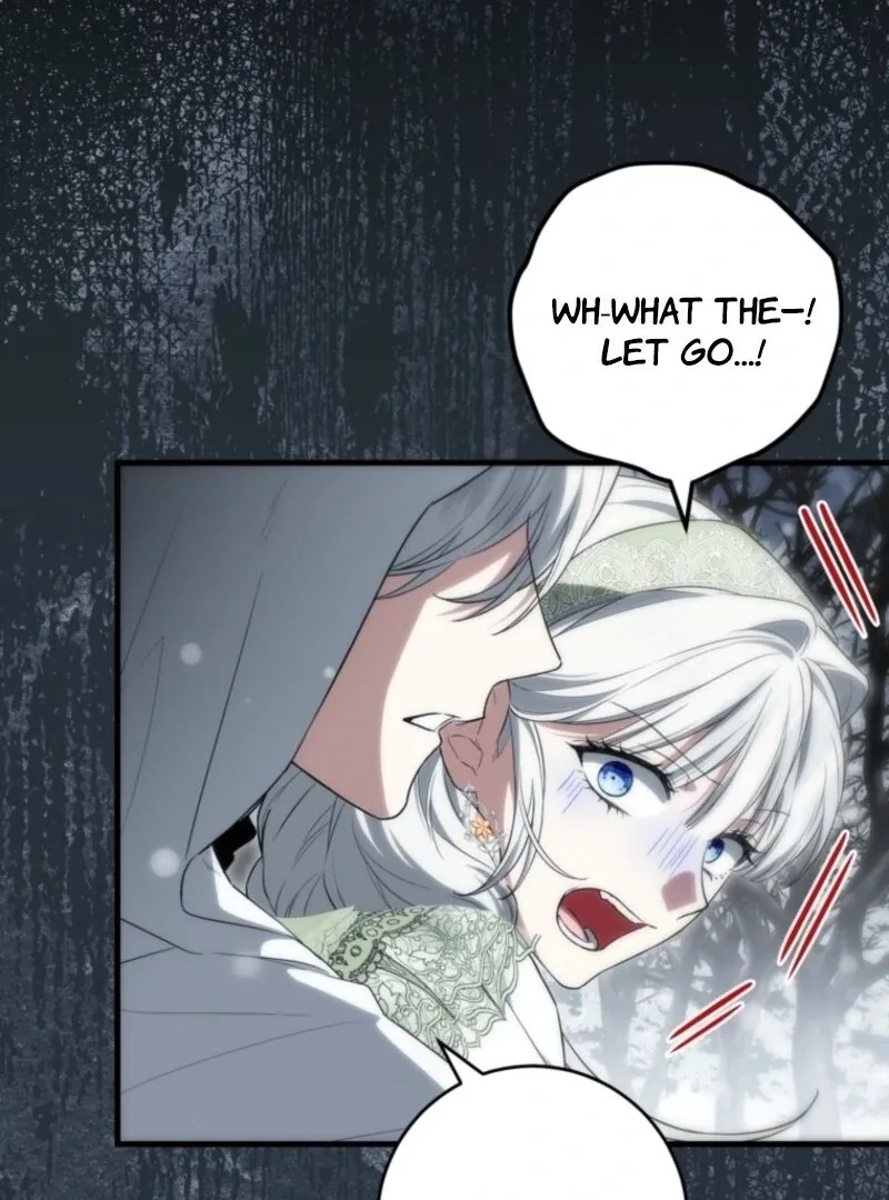 The Heroine Wants Me As Her Sister-in-Law Chapter 93 page 35