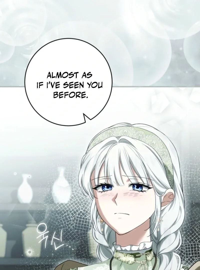 The Heroine Wants Me As Her Sister-in-Law Chapter 93 page 85