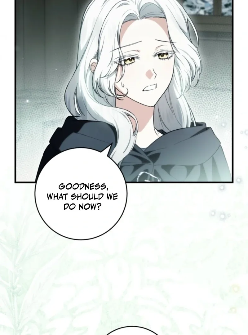 The Heroine Wants Me As Her Sister-in-Law Chapter 94 page 5