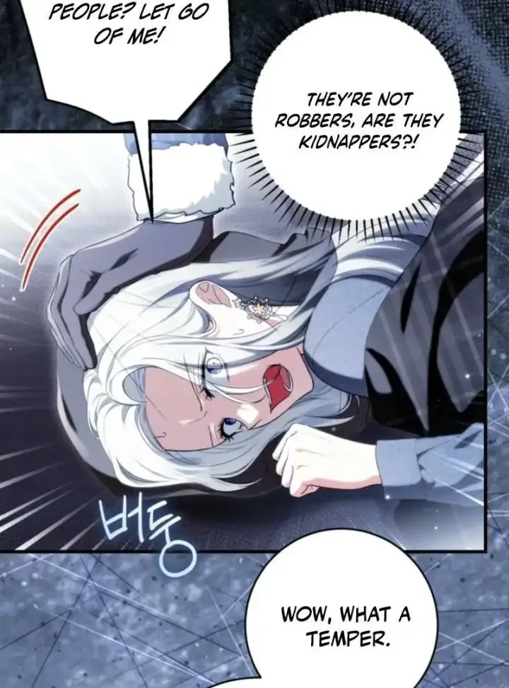 The Heroine Wants Me As Her Sister-in-Law Chapter 96 page 11