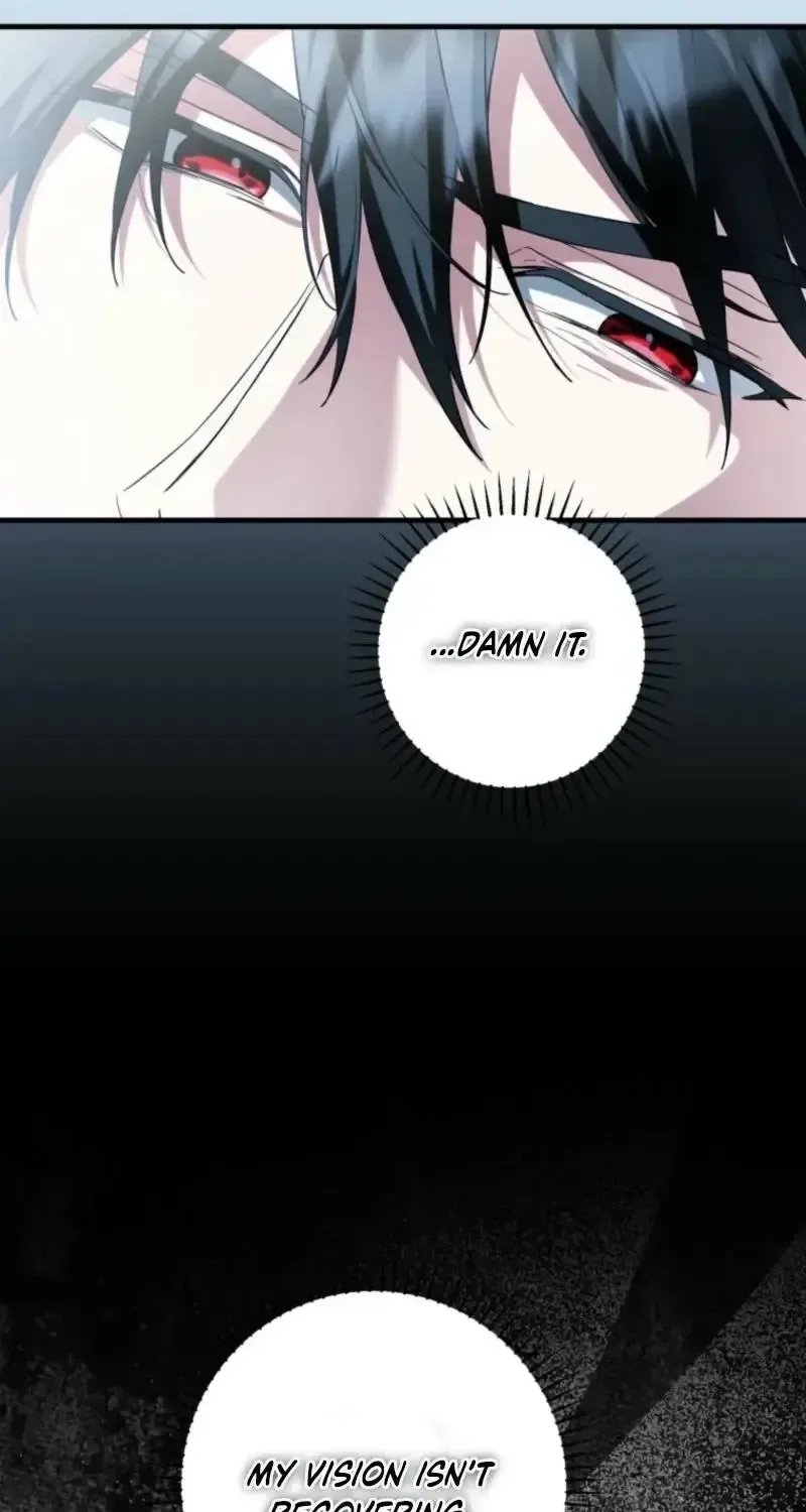 The Heroine Wants Me As Her Sister-in-Law Chapter 99 page 19