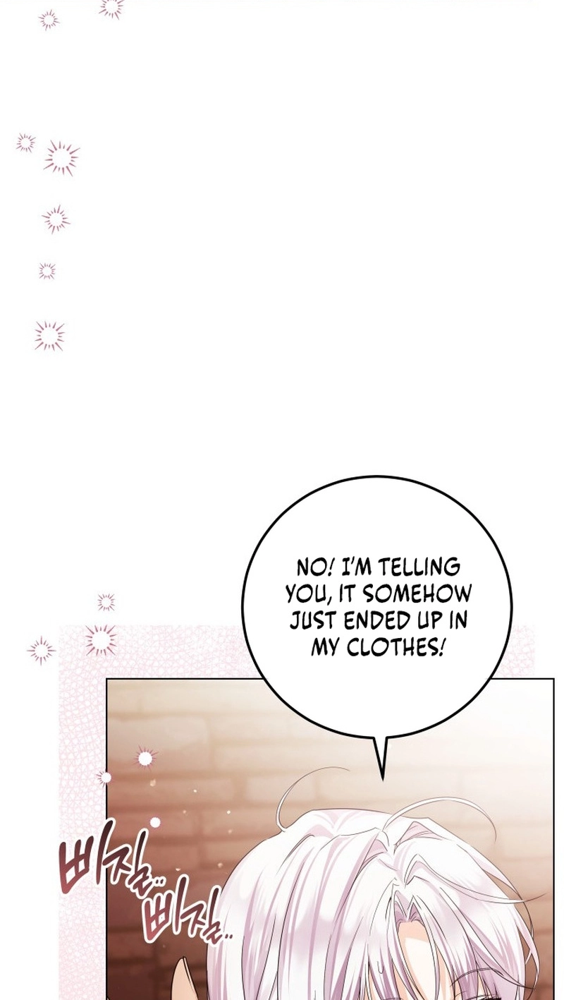 The Incognito Princess Chapter 110 page 59