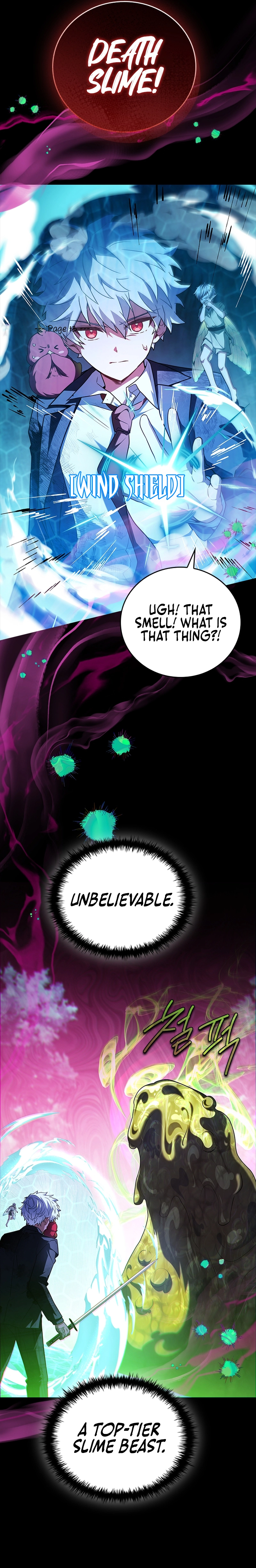 The Legendary Hero Is an Academy Honors Student Chapter 55 page 13