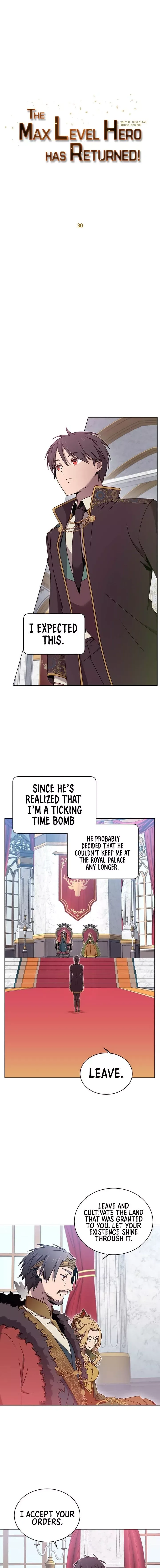 The Max Level Hero Strikes Back Chapter 30 page 7