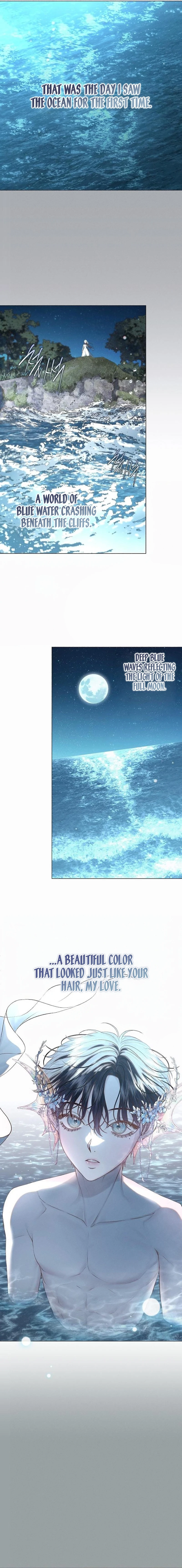The Merman Trapped in My Lake Chapter 39 page 12