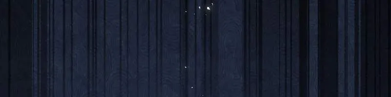 The Misfit of the Martial World Chapter 12 page 6