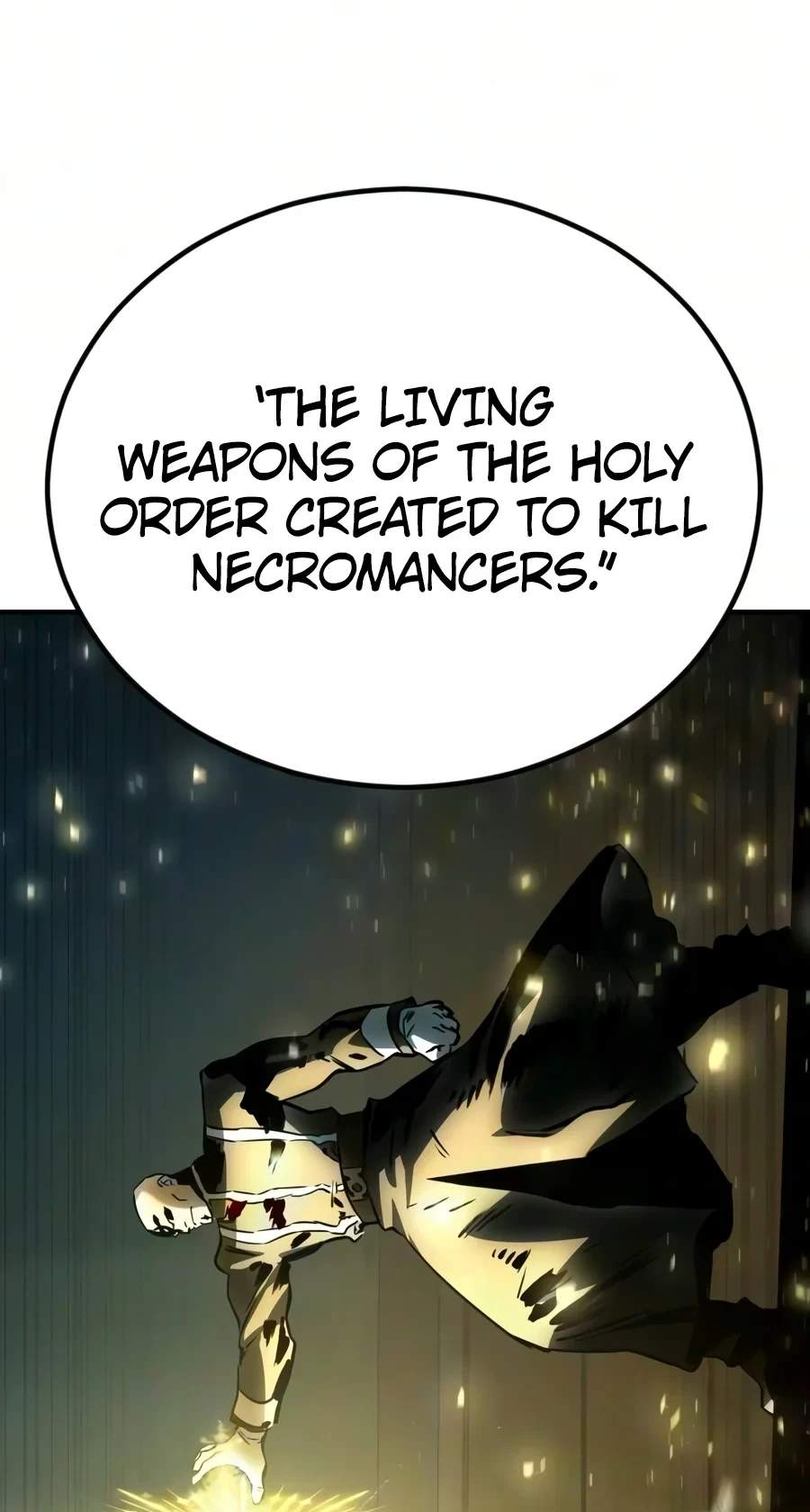 The Necromancer of a Noble Sword Family Chapter 28 page 215