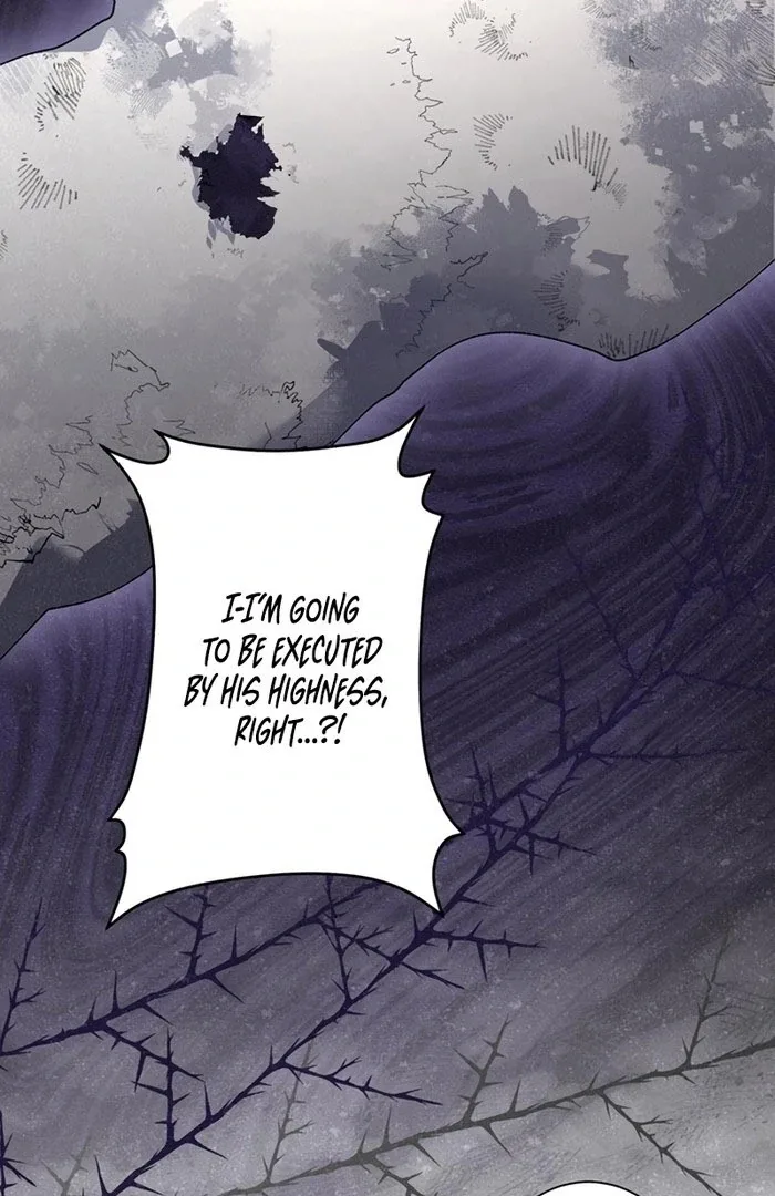The Obsessed Young Prince Loves the Unlucky Princess Too Much! Chapter 10 page 107