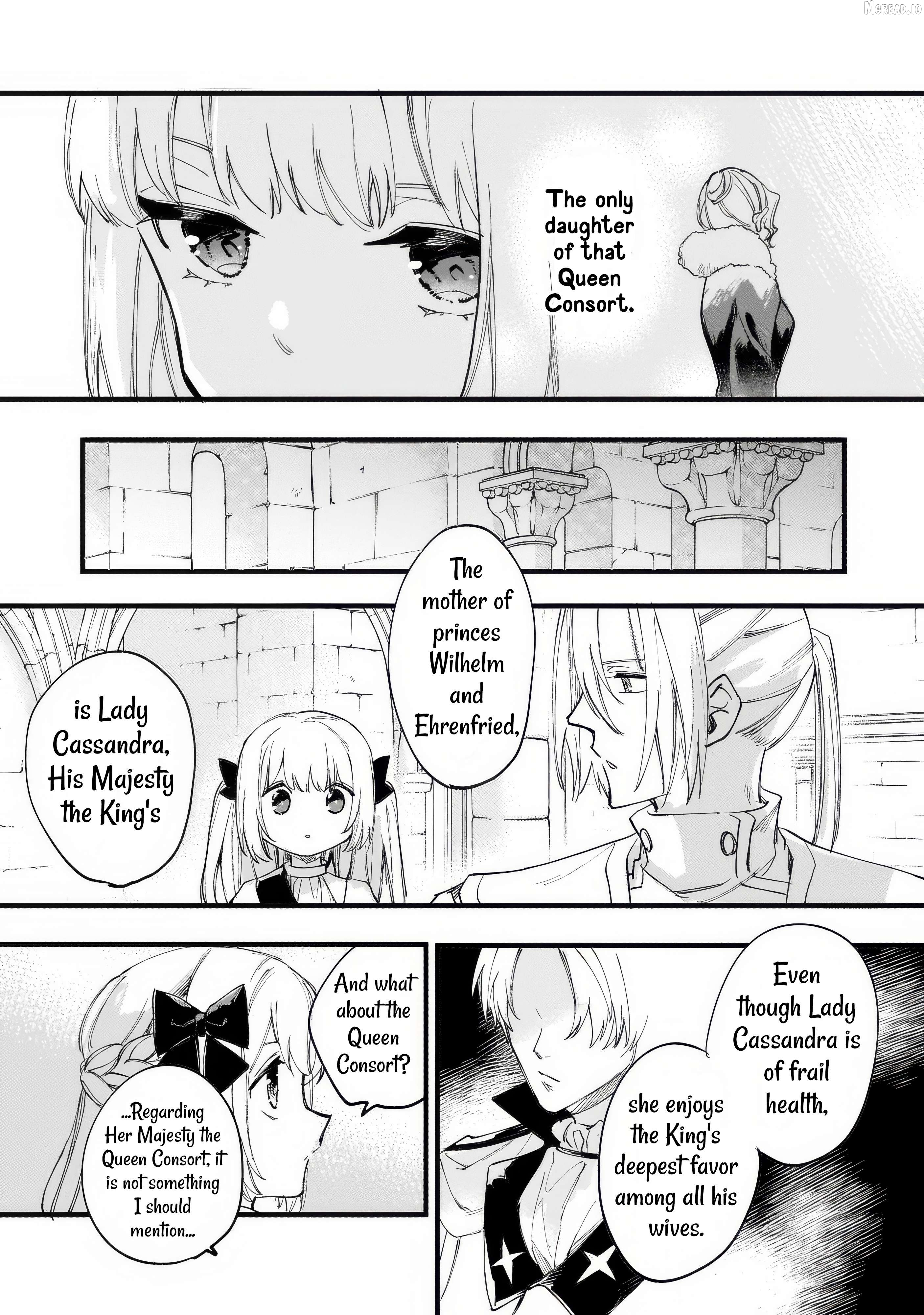 The Oppressed Princess Was a Reincarnated Legendary Magician Chapter 10 page 17