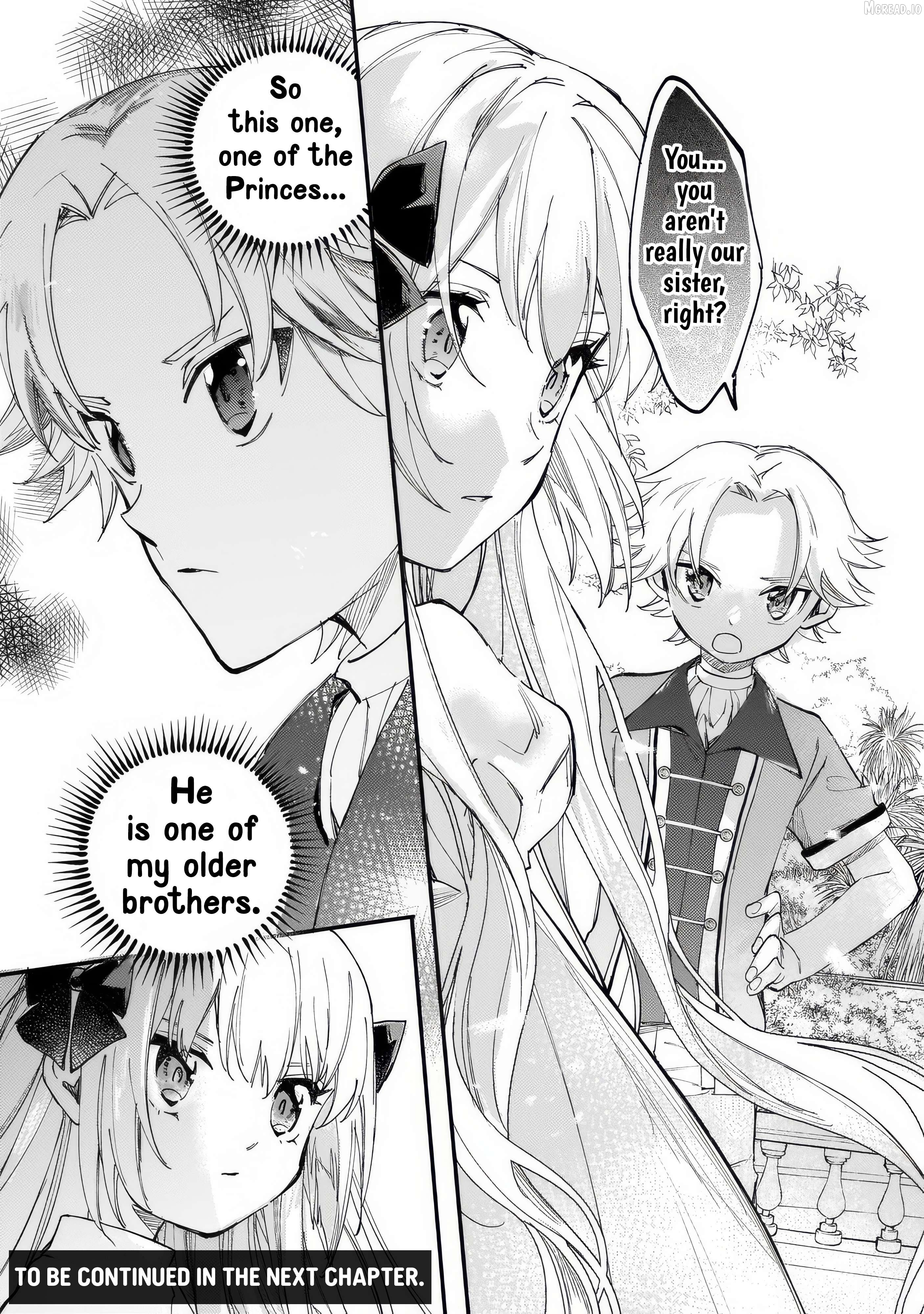 The Oppressed Princess Was a Reincarnated Legendary Magician Chapter 9 page 27
