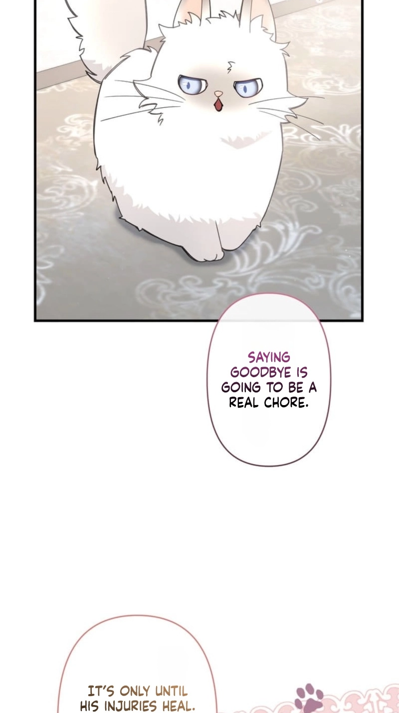 The Otherworldly Heroic Tale of the Only One Who Can See Levels Chapter 10 page 31
