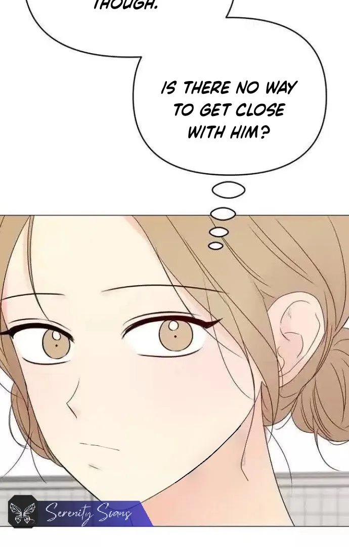 The Perfect Male Lead Chapter 12 page 21