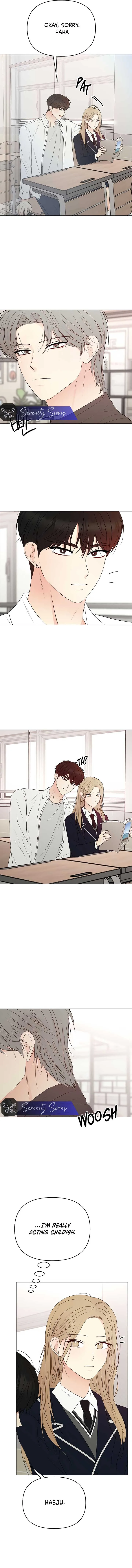 The Perfect Male Lead Chapter 17 page 17