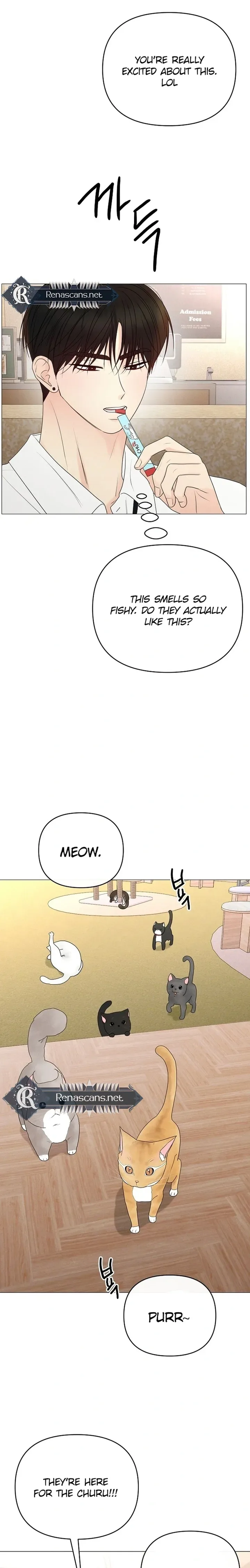The Perfect Male Lead Chapter 48 page 37