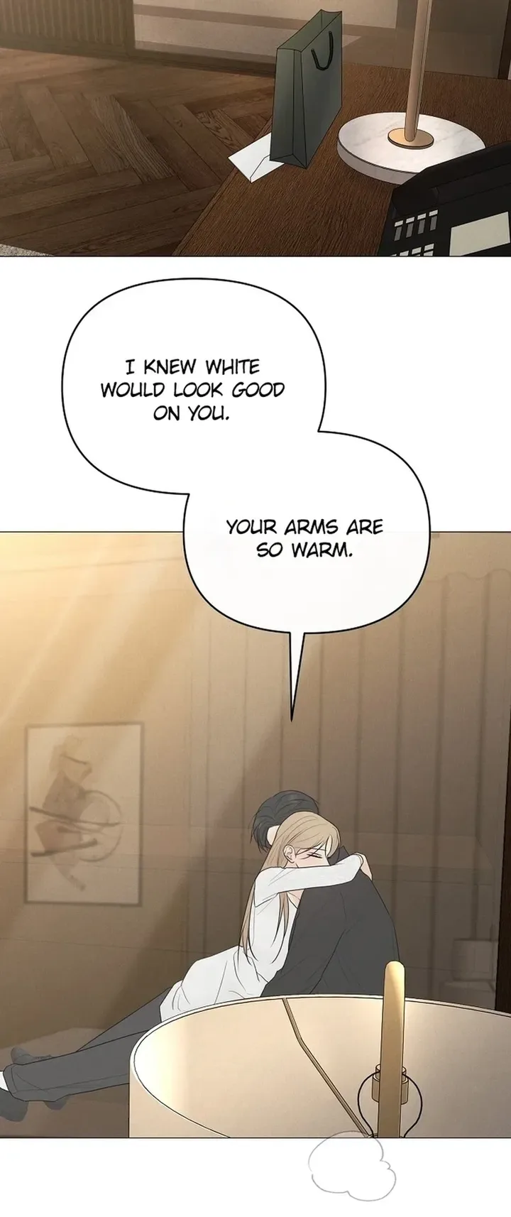 The Perfect Male Lead Chapter 51 page 2