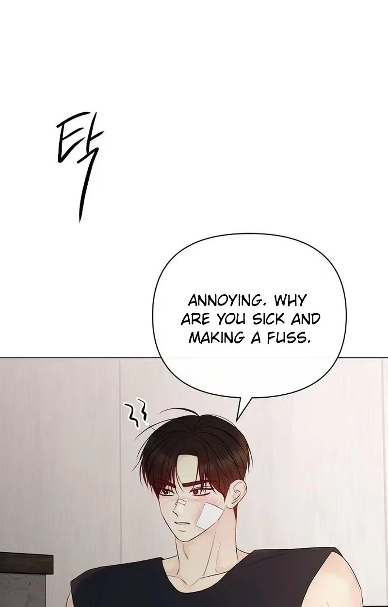 The Perfect Male Lead Chapter 64 page 41