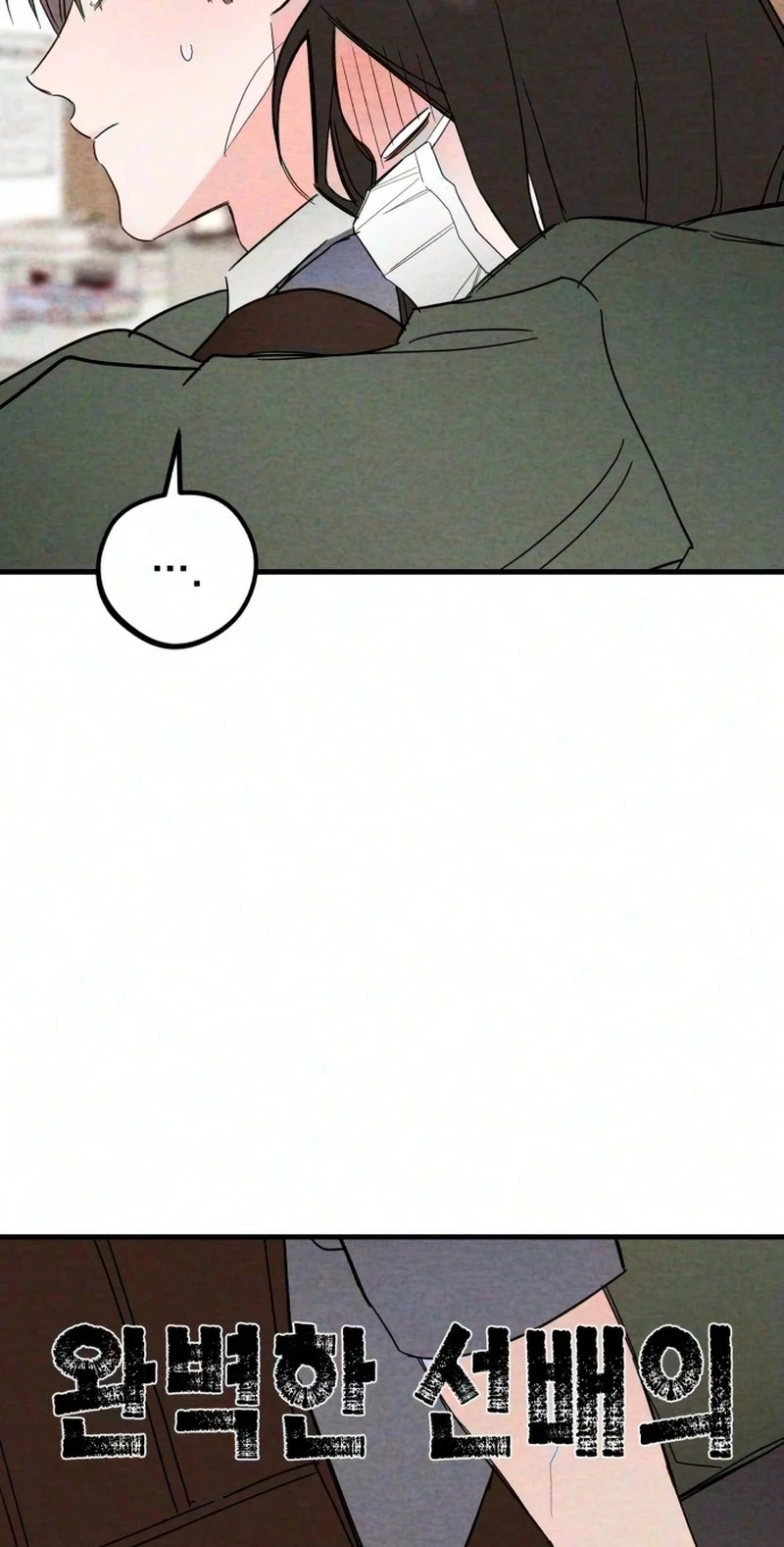 The Perfect Senior's Secret! Chapter 25 page 5