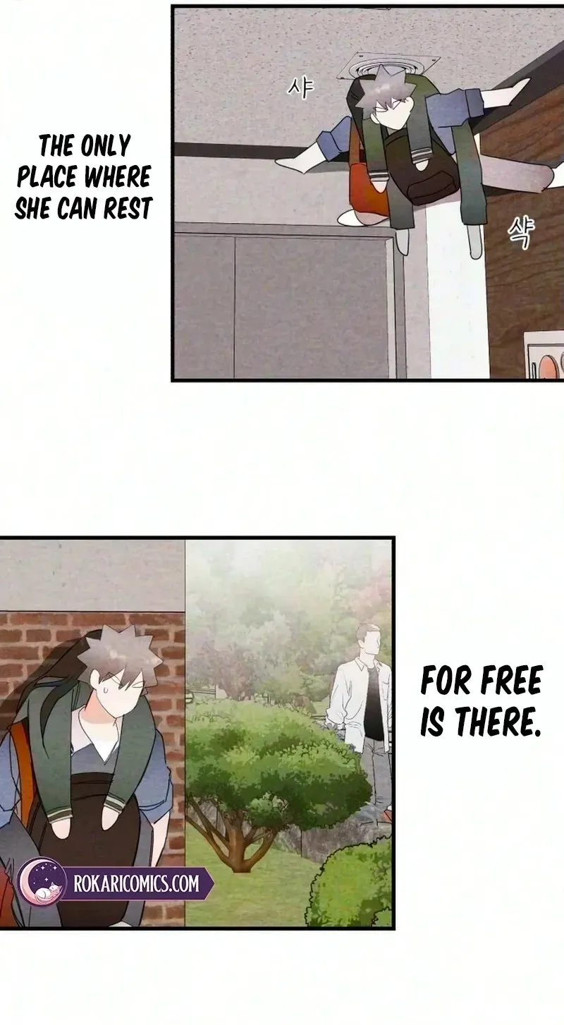 The Perfect Senior's Secret! Chapter 25 page 20
