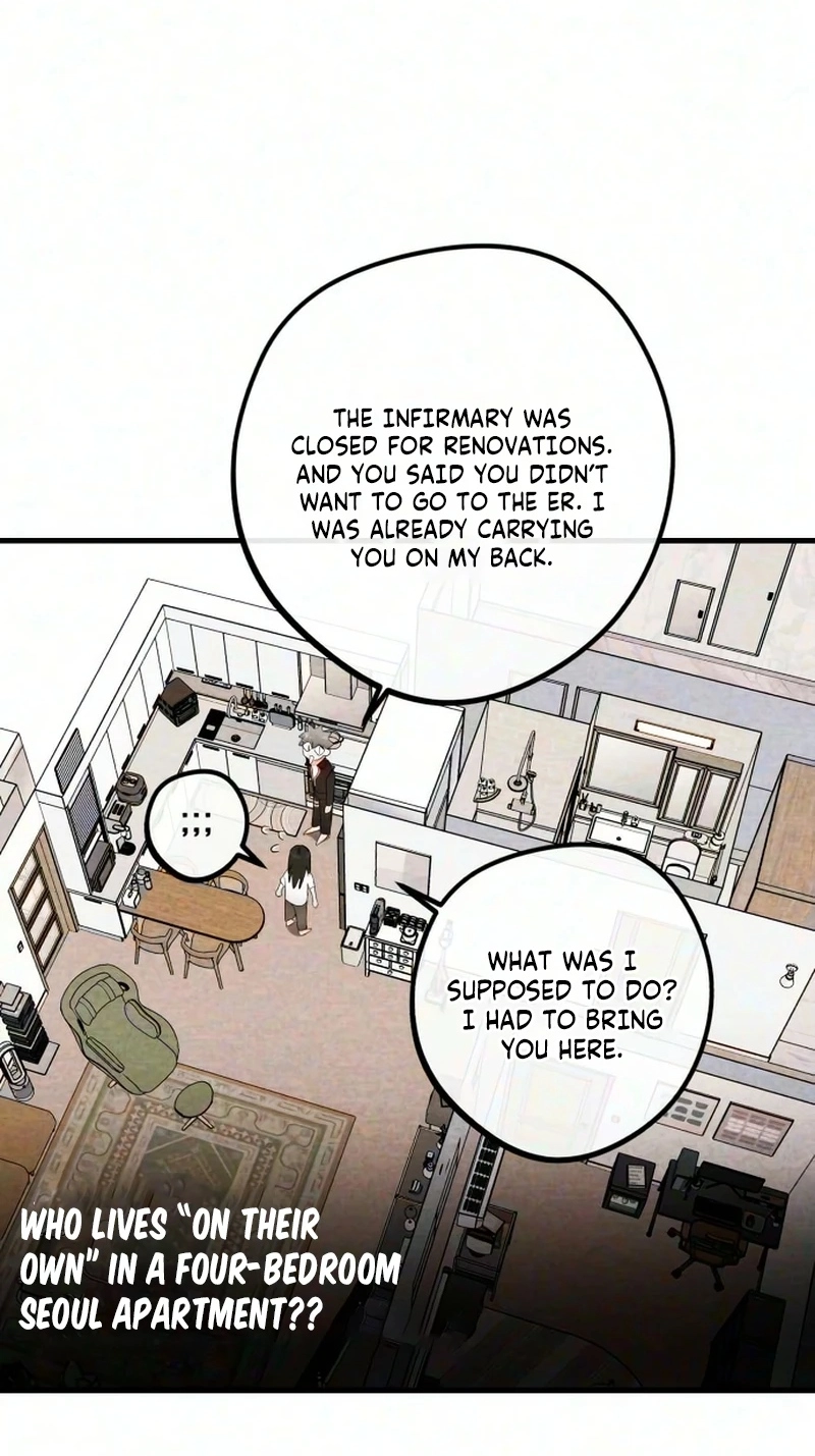 The Perfect Senior's Secret! Chapter 26 page 15