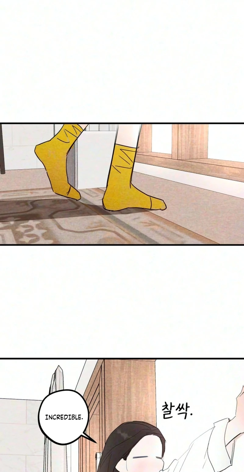 The Perfect Senior's Secret! Chapter 26 page 46