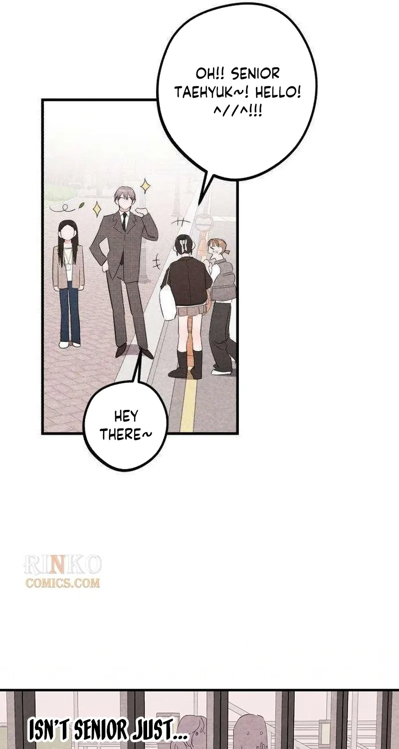 The Perfect Senior's Secret! Chapter 7 page 13