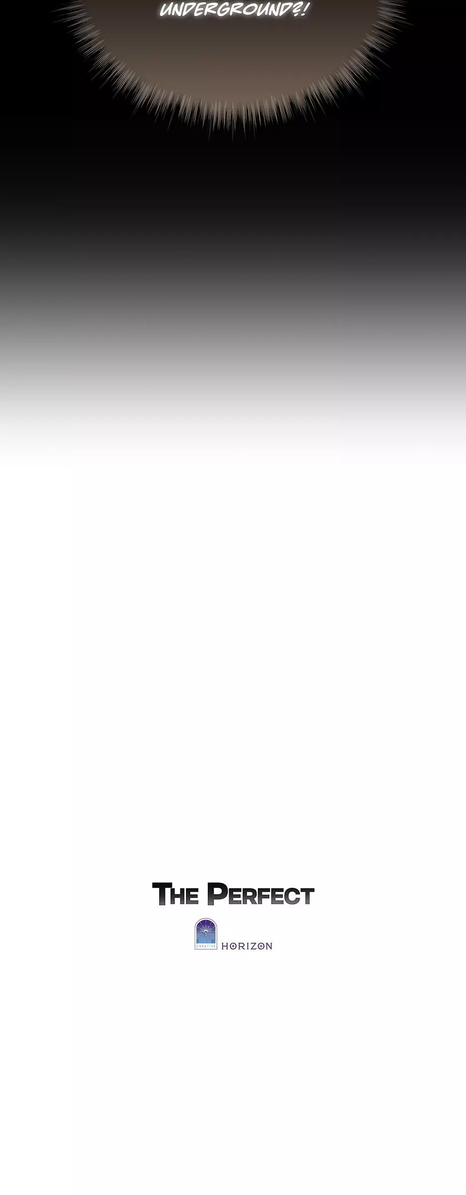 The Perfect Chapter 81 page 29