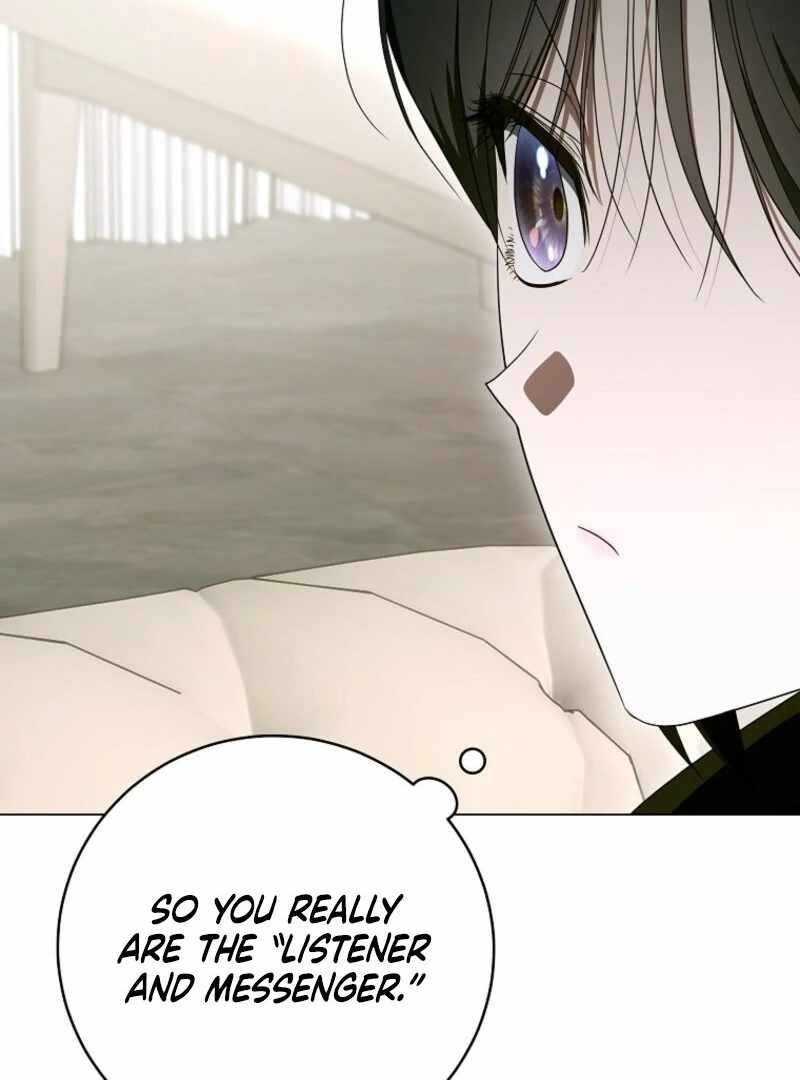 The Rankers Guide to Live an Ordinary Life Chapter 55 page 39