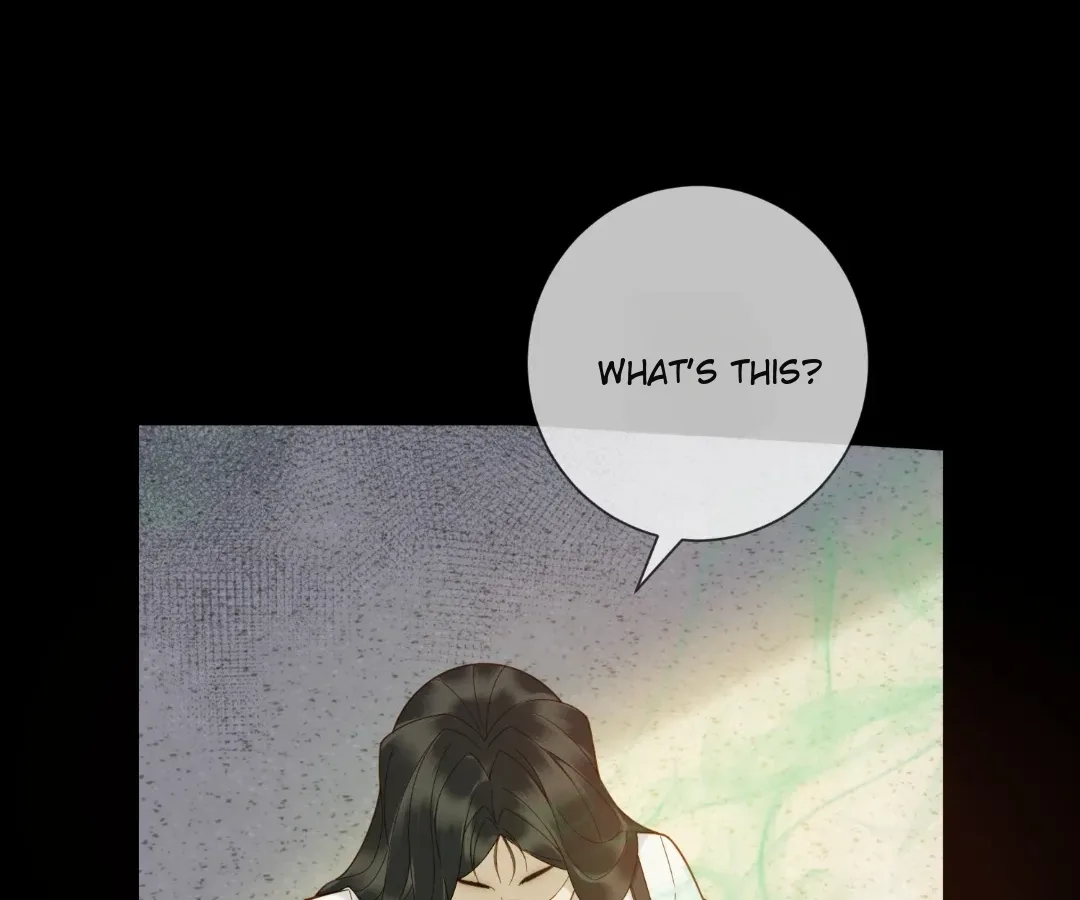 The Reincarnated Young Lady’s Revenge Chapter 41 page 16