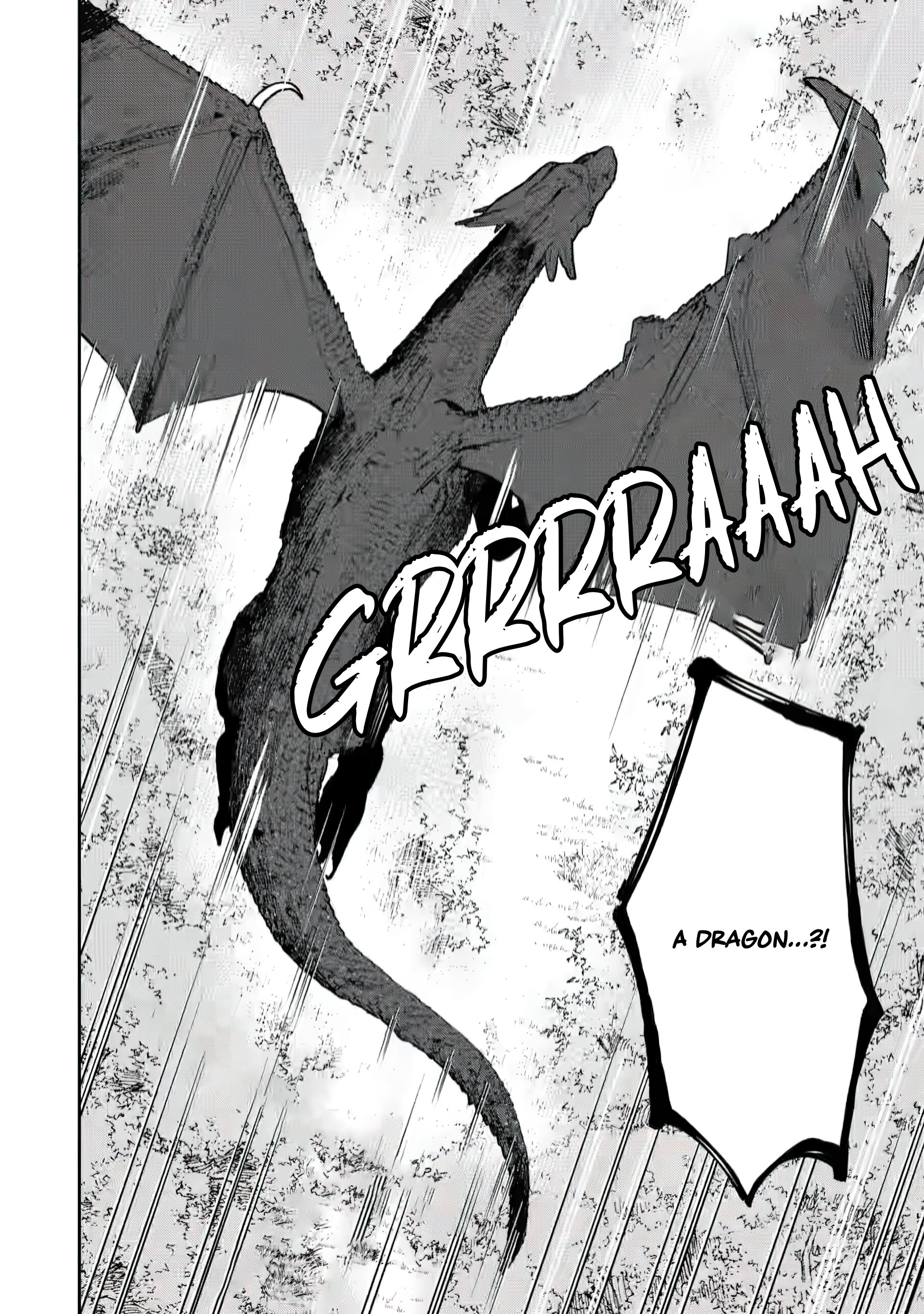 The Relaxed Harem Life of an Around 30 Magician ~A Black Company Slave Living Freely in Another World~ Chapter 4.2 page 5