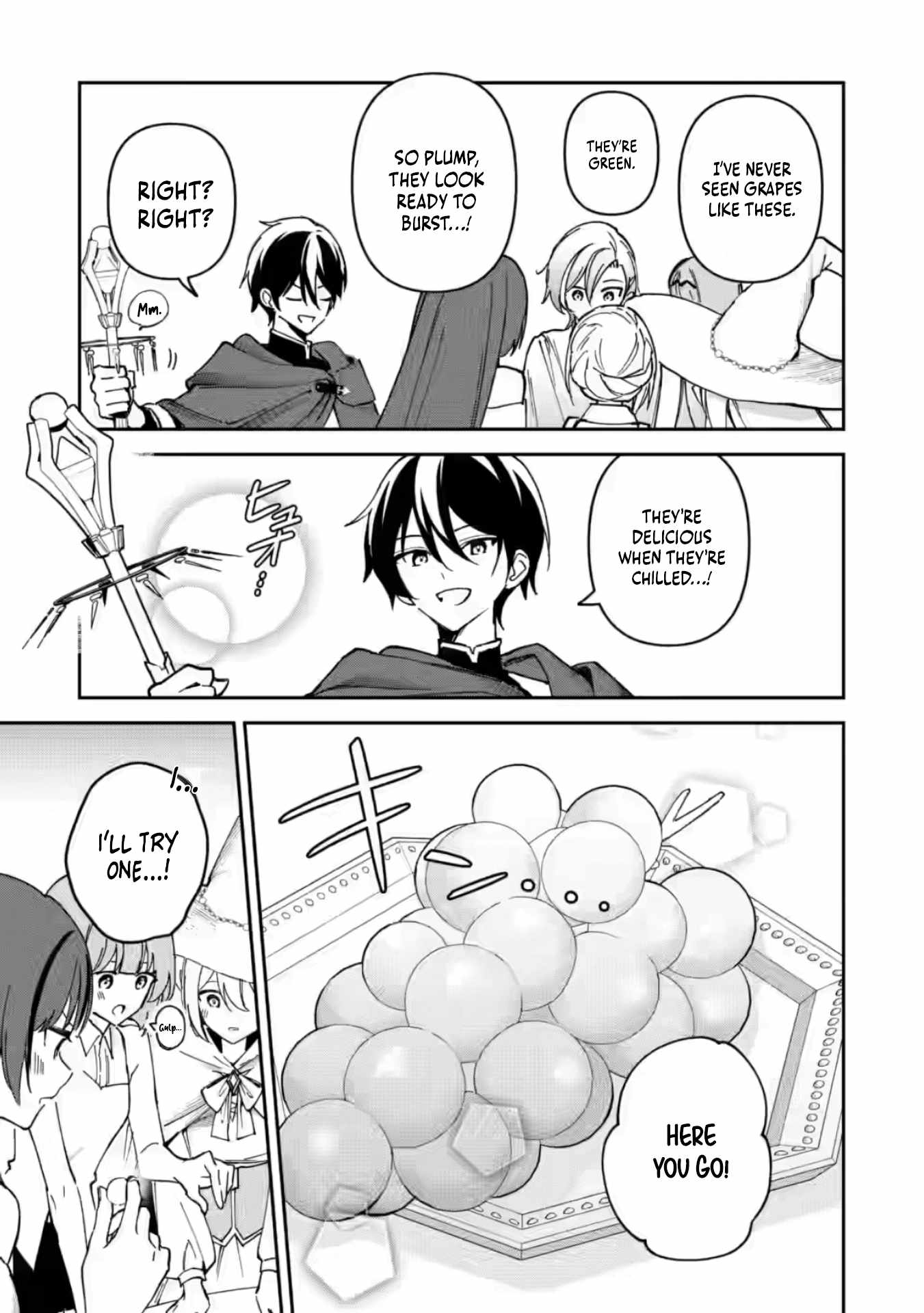 The Relaxed Harem Life of an Around 30 Magician ~A Black Company Slave Living Freely in Another World~ Chapter 9 page 9