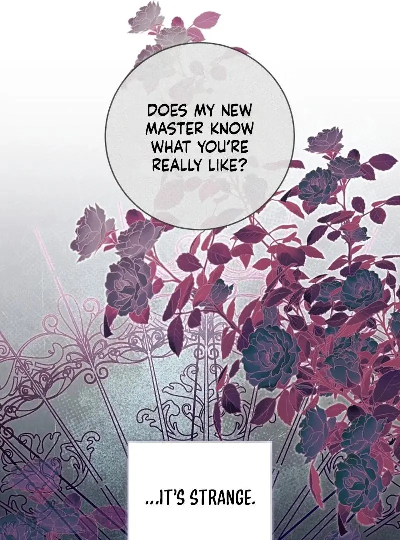 The Runaway Extra and the Obsessive Duke Chapter 30 page 39