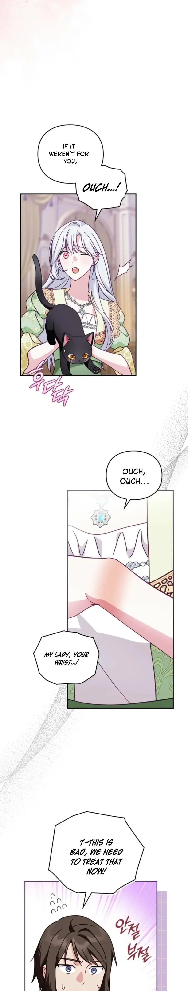 The Search for the Duchess's Husband Chapter 10 page 29